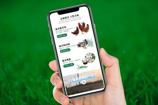 自然之涌，純凈之禾 涌禾農場全案品牌形象塑造之路