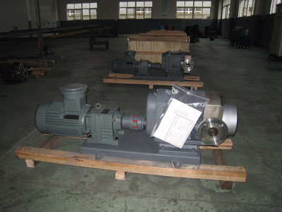 普利施65PLST6-10 日用化工轉子泵,甘油、化妝品料漿輸送泵 價格優惠歡迎咨詢圖片_高清圖_細節圖-江蘇普利施泵業 -